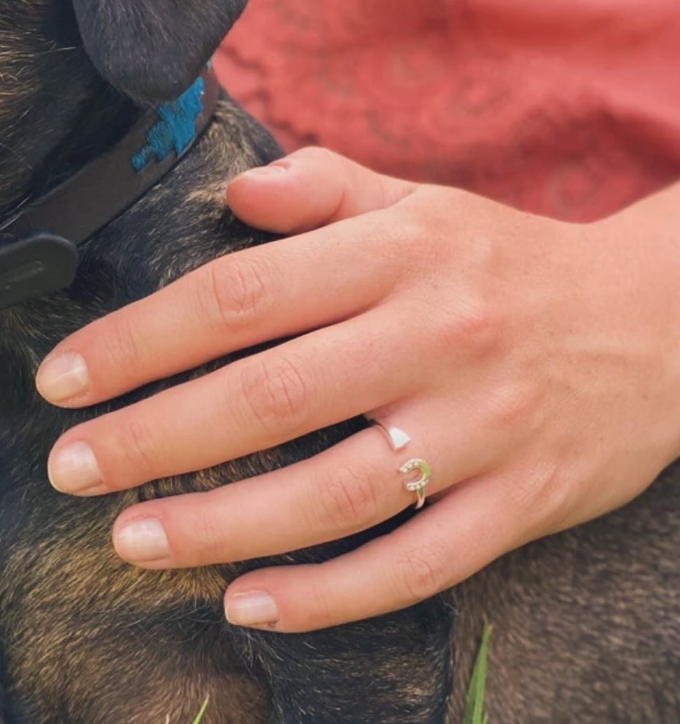 Farrier nail and horse shoe ring